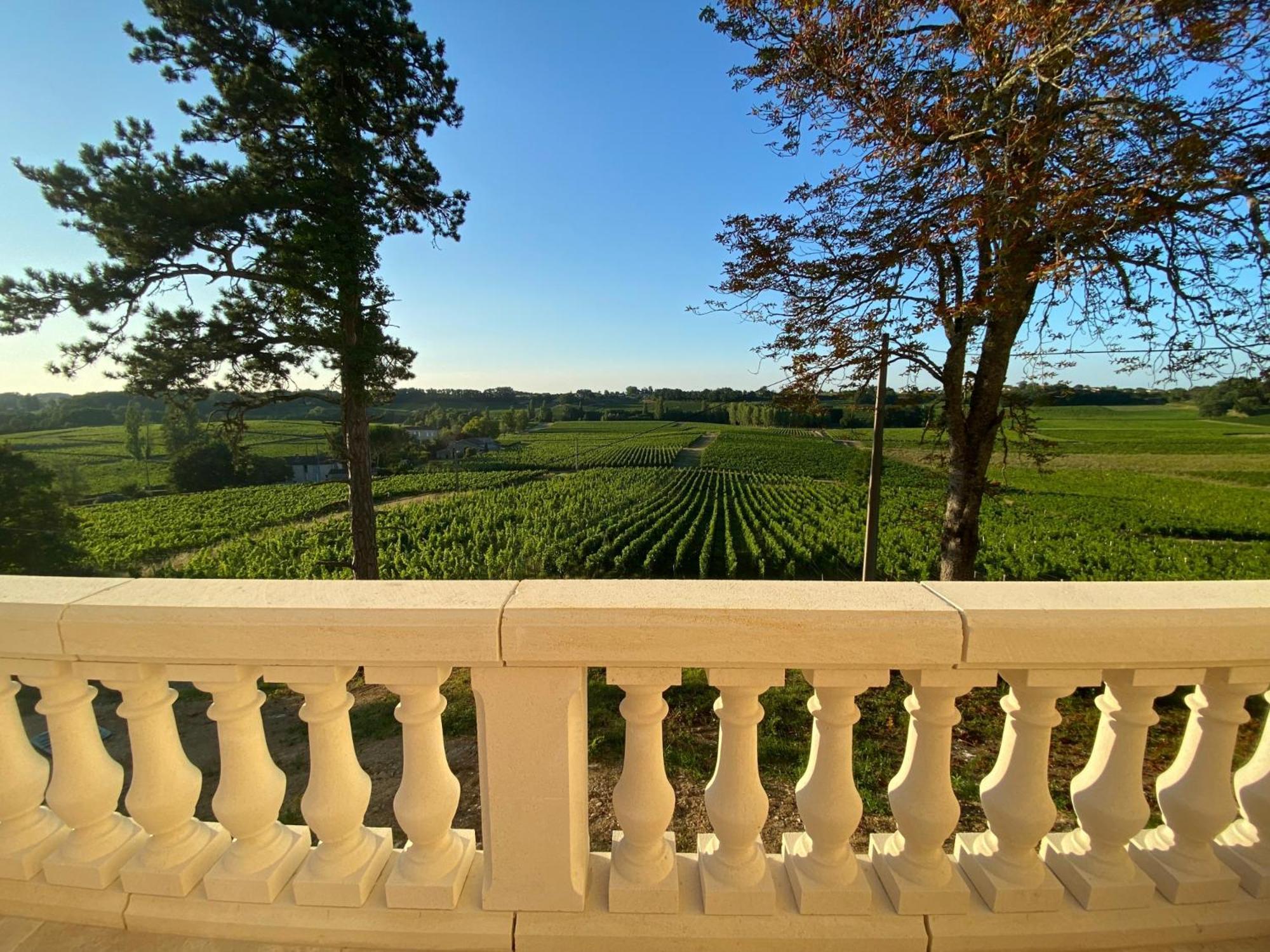 La Reserve Du Chateau De Roques ピュイスガン エクステリア 写真