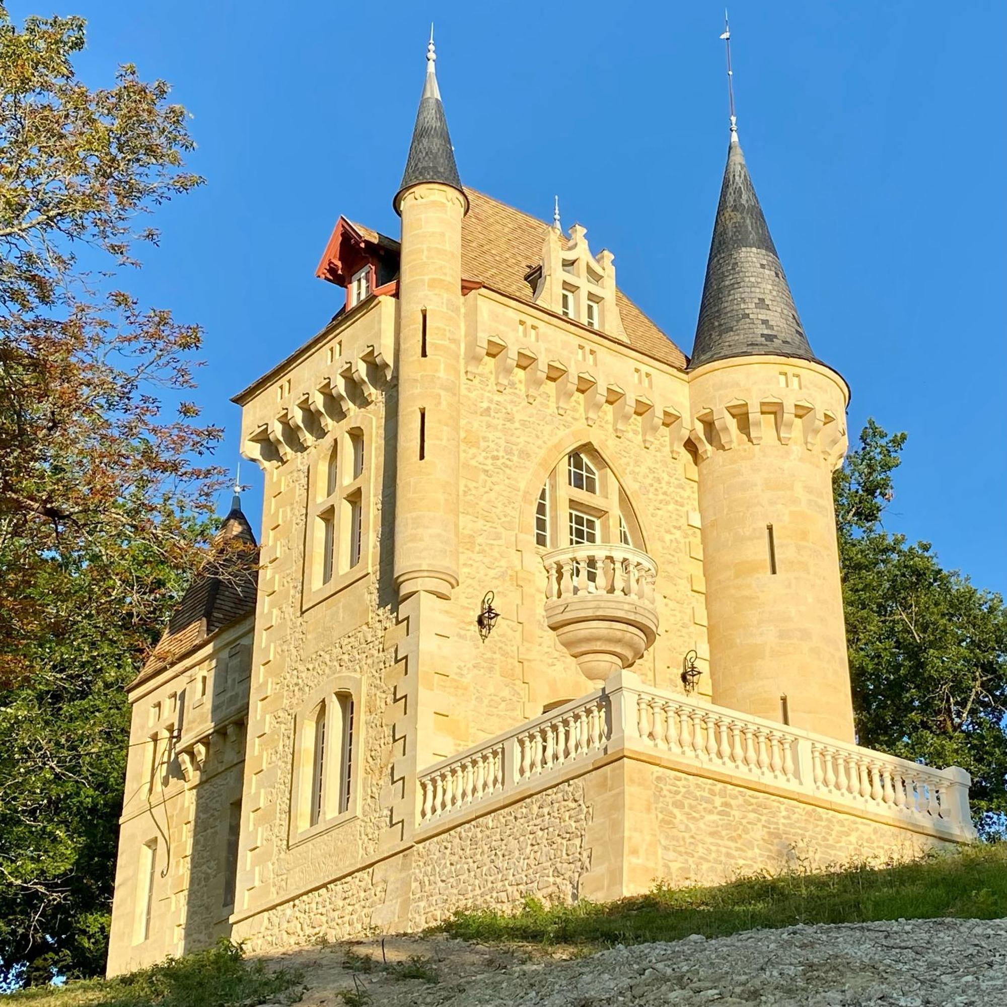 La Reserve Du Chateau De Roques ピュイスガン エクステリア 写真
