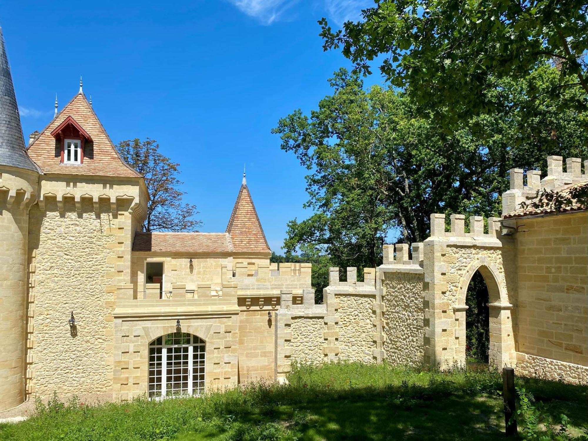 La Reserve Du Chateau De Roques ピュイスガン エクステリア 写真