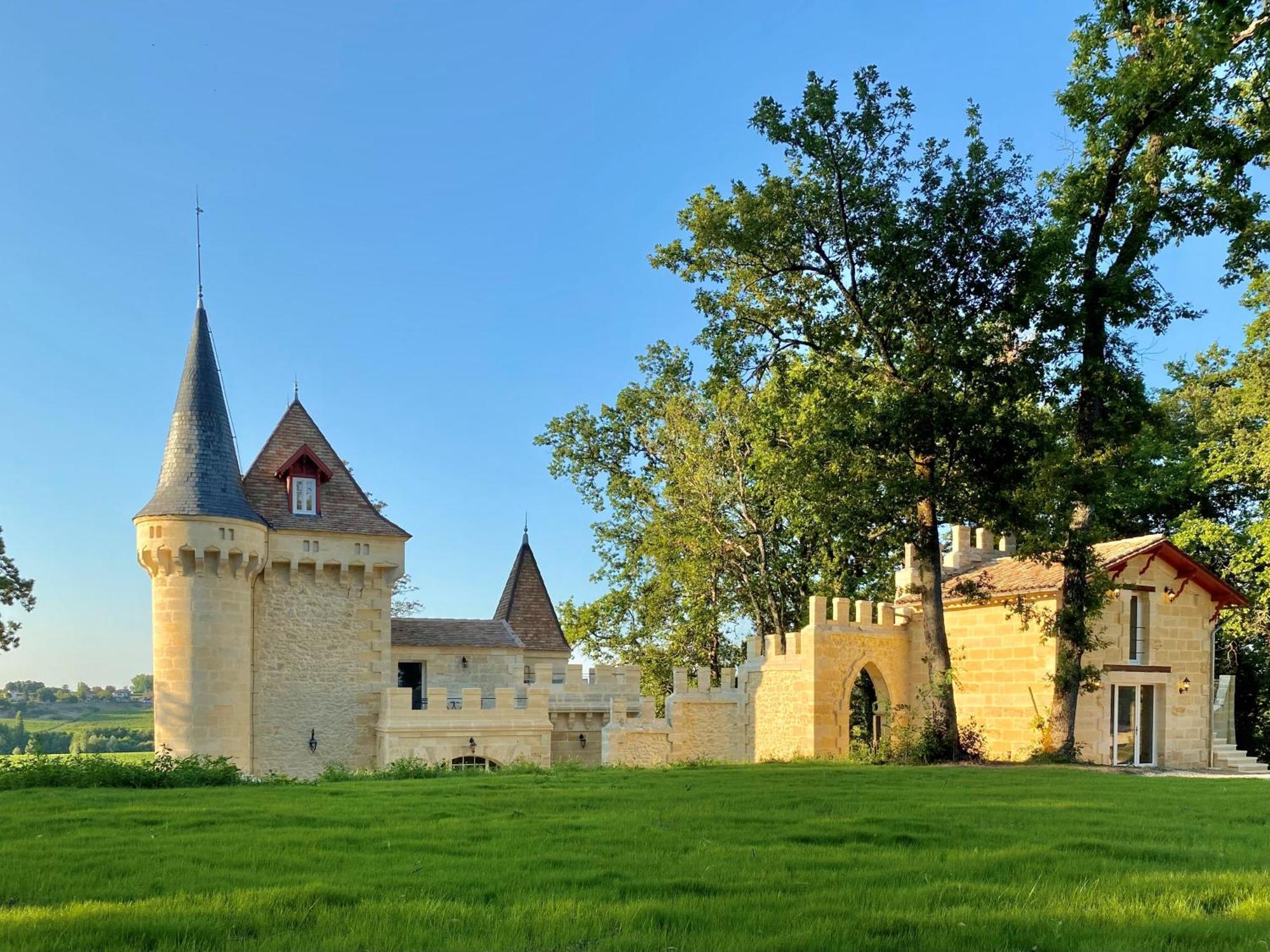 La Reserve Du Chateau De Roques ピュイスガン エクステリア 写真