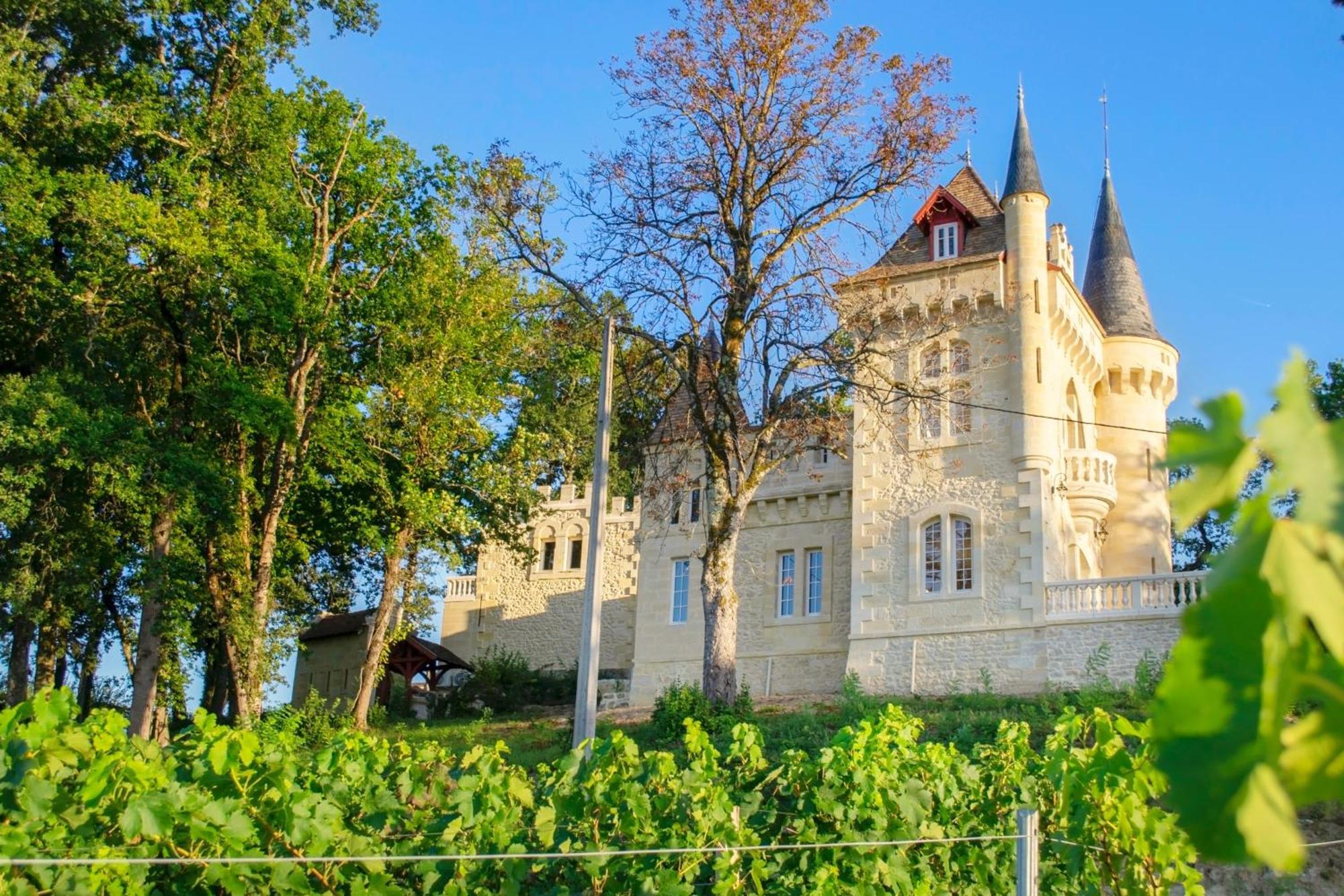 La Reserve Du Chateau De Roques ピュイスガン エクステリア 写真