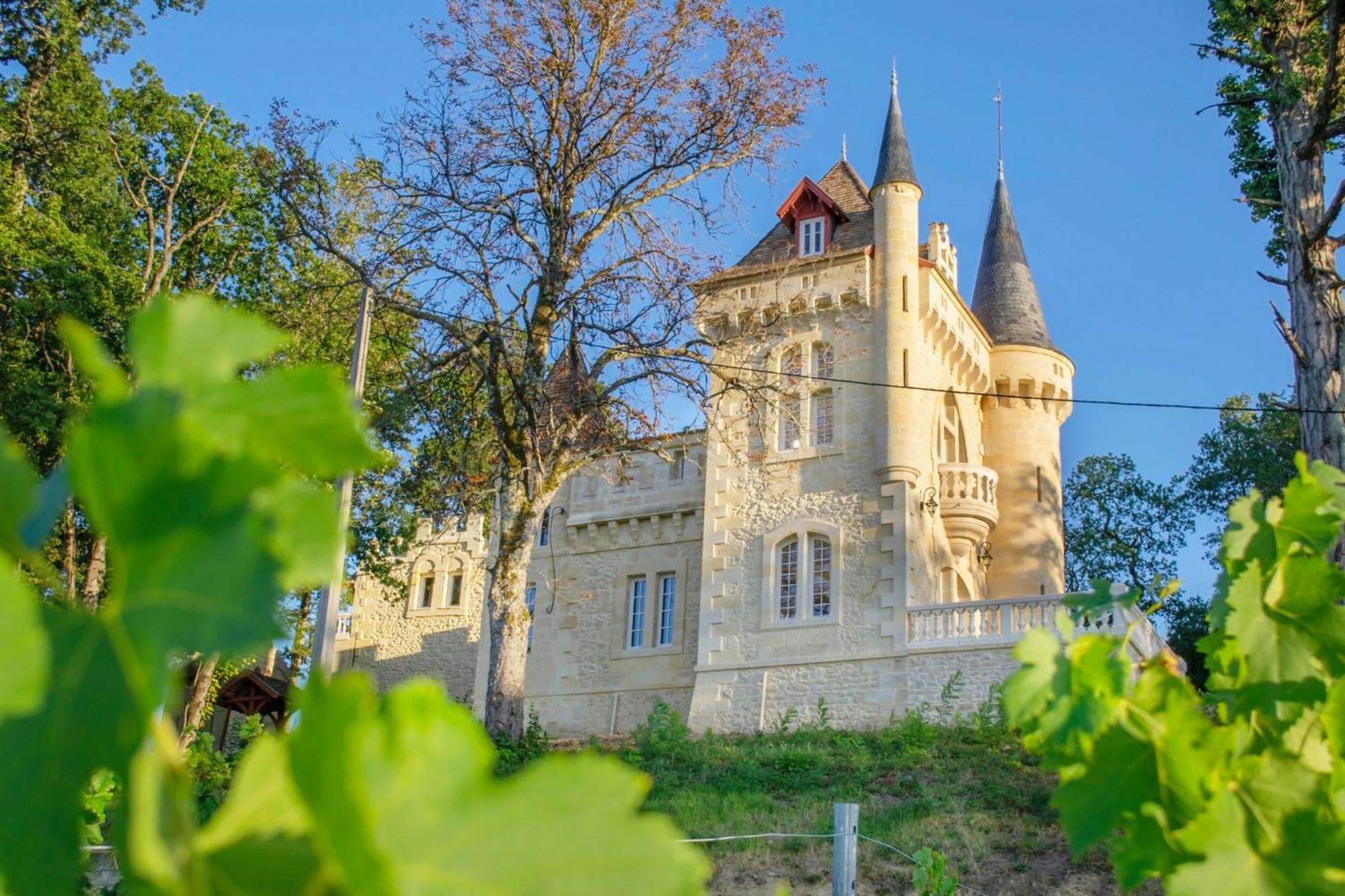 La Reserve Du Chateau De Roques ピュイスガン エクステリア 写真