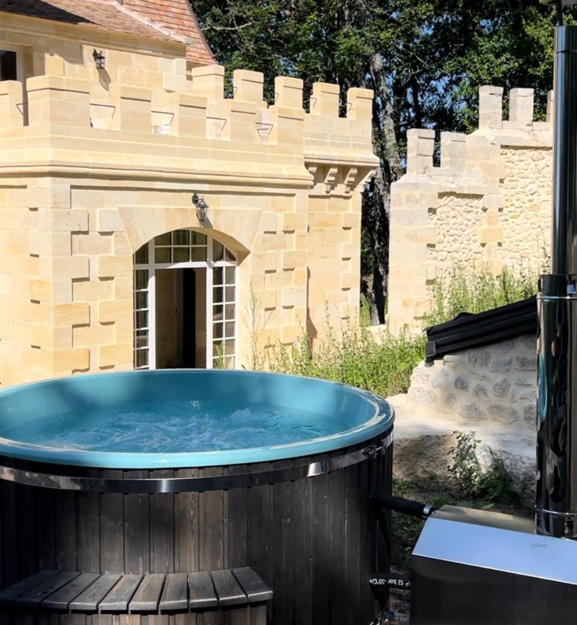 La Reserve Du Chateau De Roques ピュイスガン エクステリア 写真