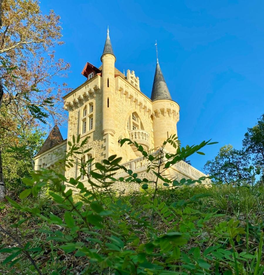 La Reserve Du Chateau De Roques ピュイスガン エクステリア 写真