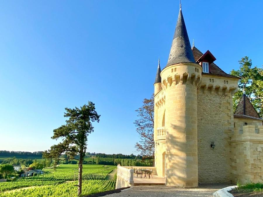 La Reserve Du Chateau De Roques ピュイスガン エクステリア 写真