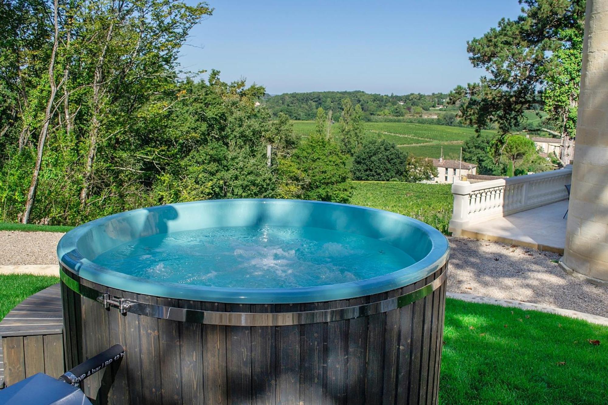 La Reserve Du Chateau De Roques ピュイスガン エクステリア 写真