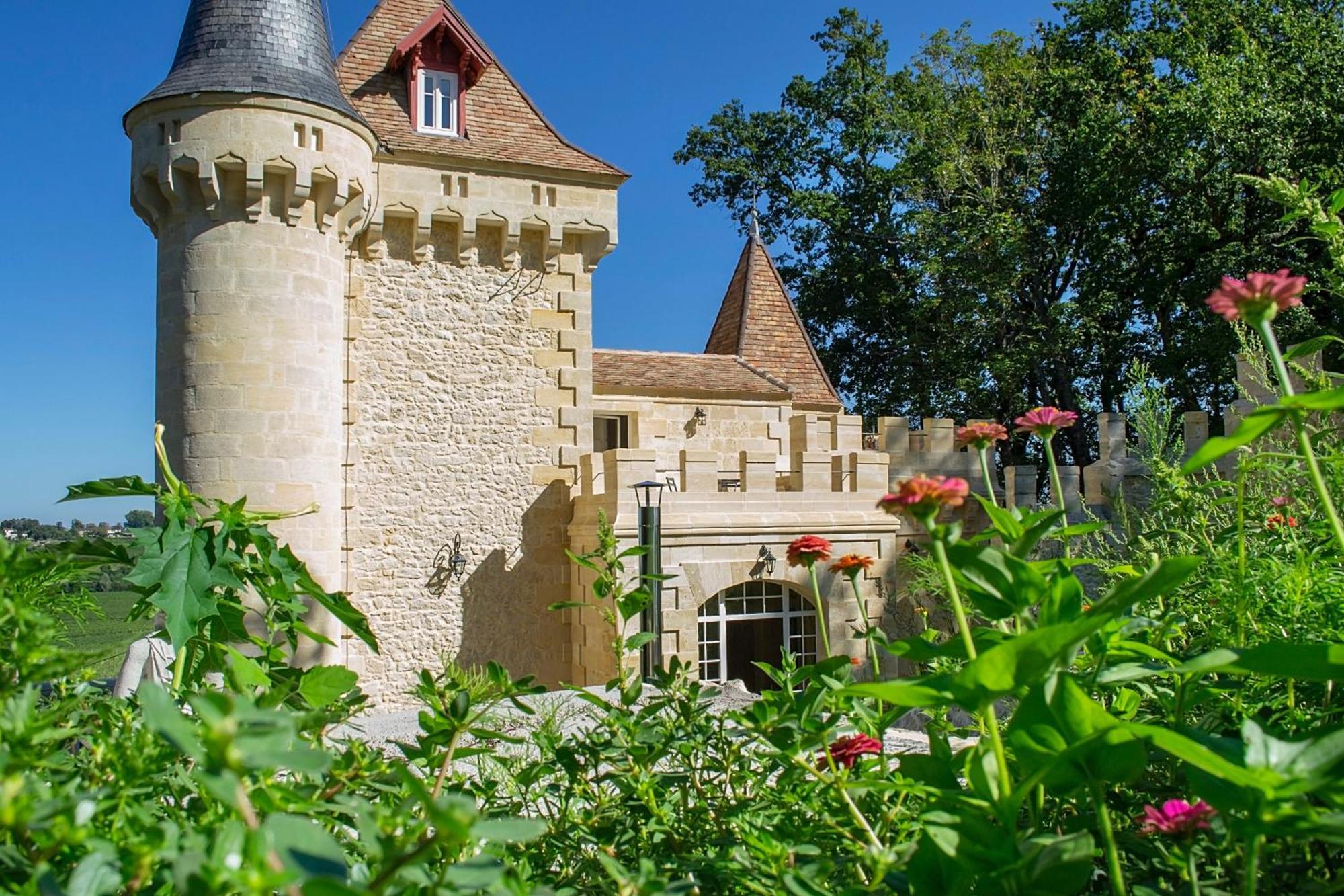 La Reserve Du Chateau De Roques ピュイスガン エクステリア 写真
